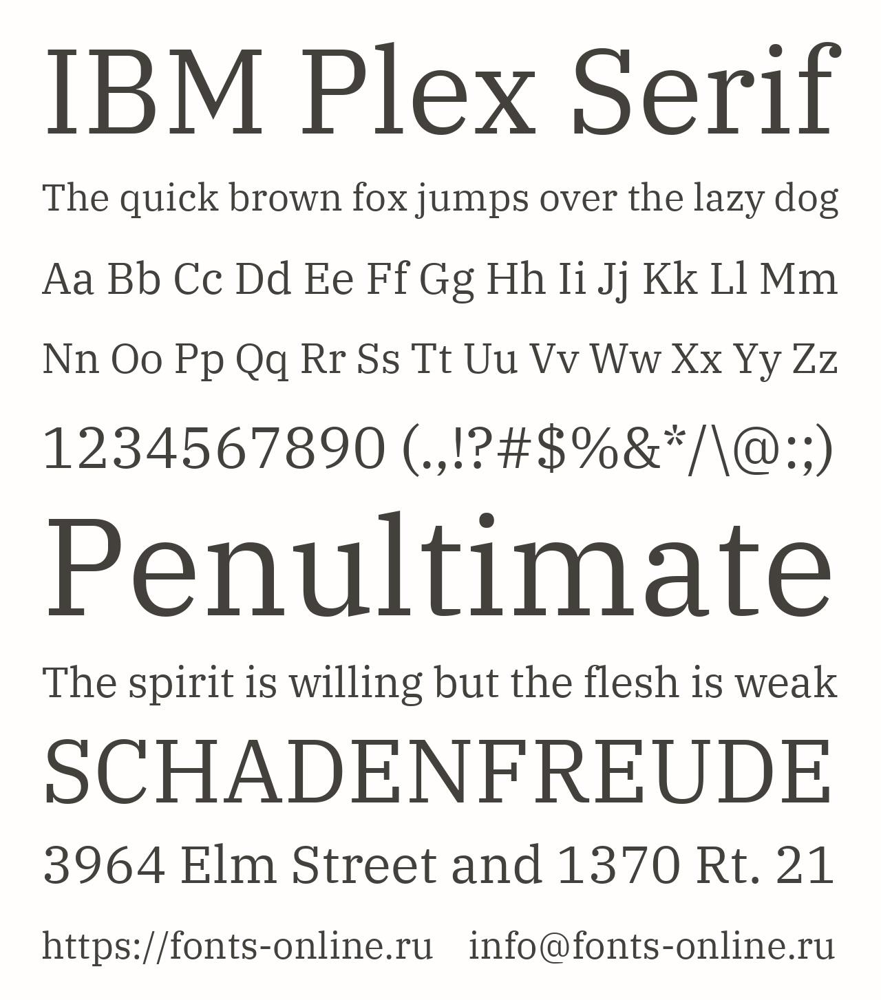 IBM Plex Serif Free Font Download
